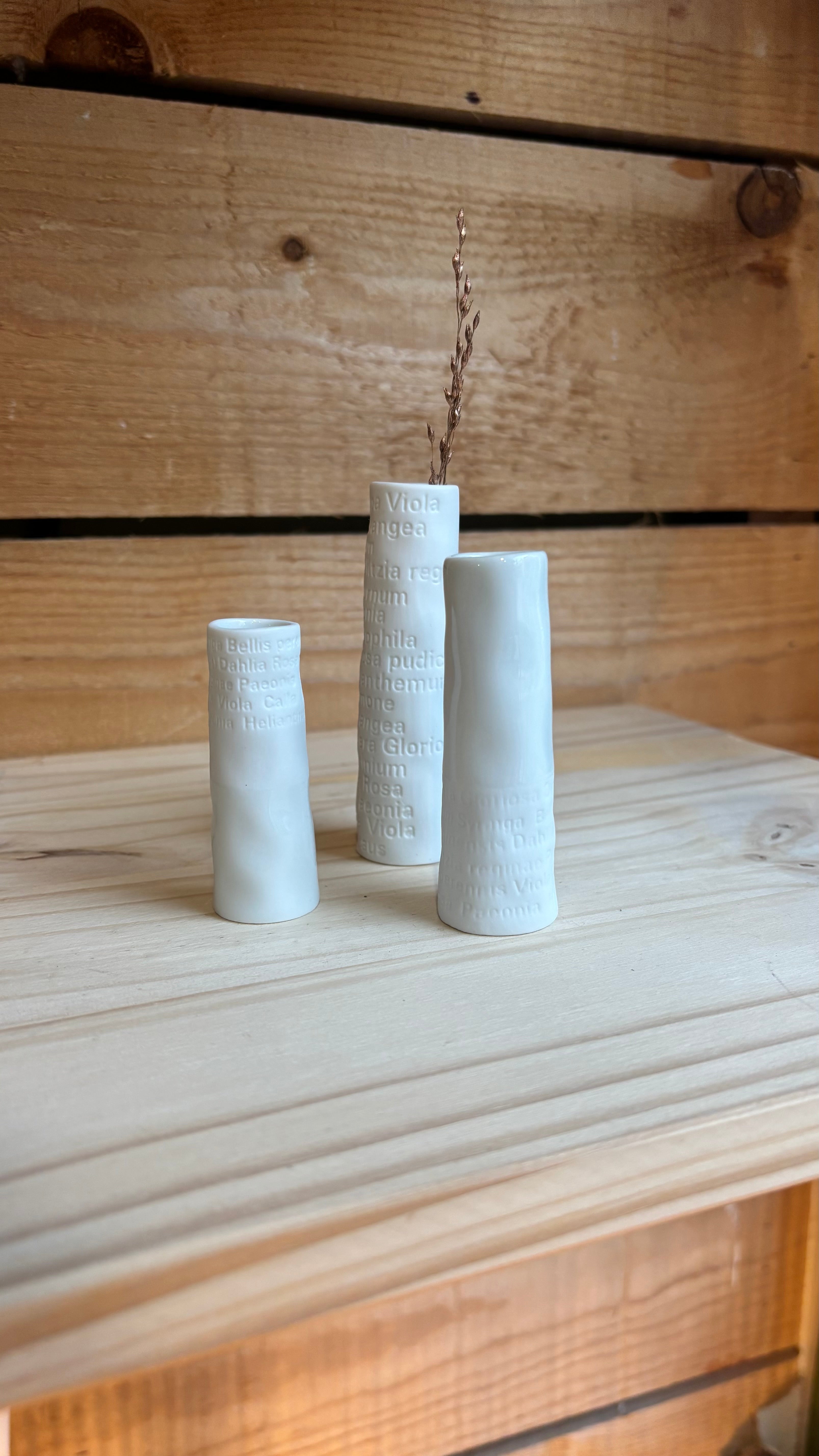 Set de 3 Mini Vases “Poésie Typologie” en Porcelaine
