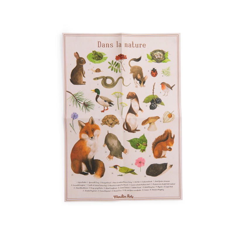 Coffret « Découverte des animaux du jardin » Le Jardin du Moulin
