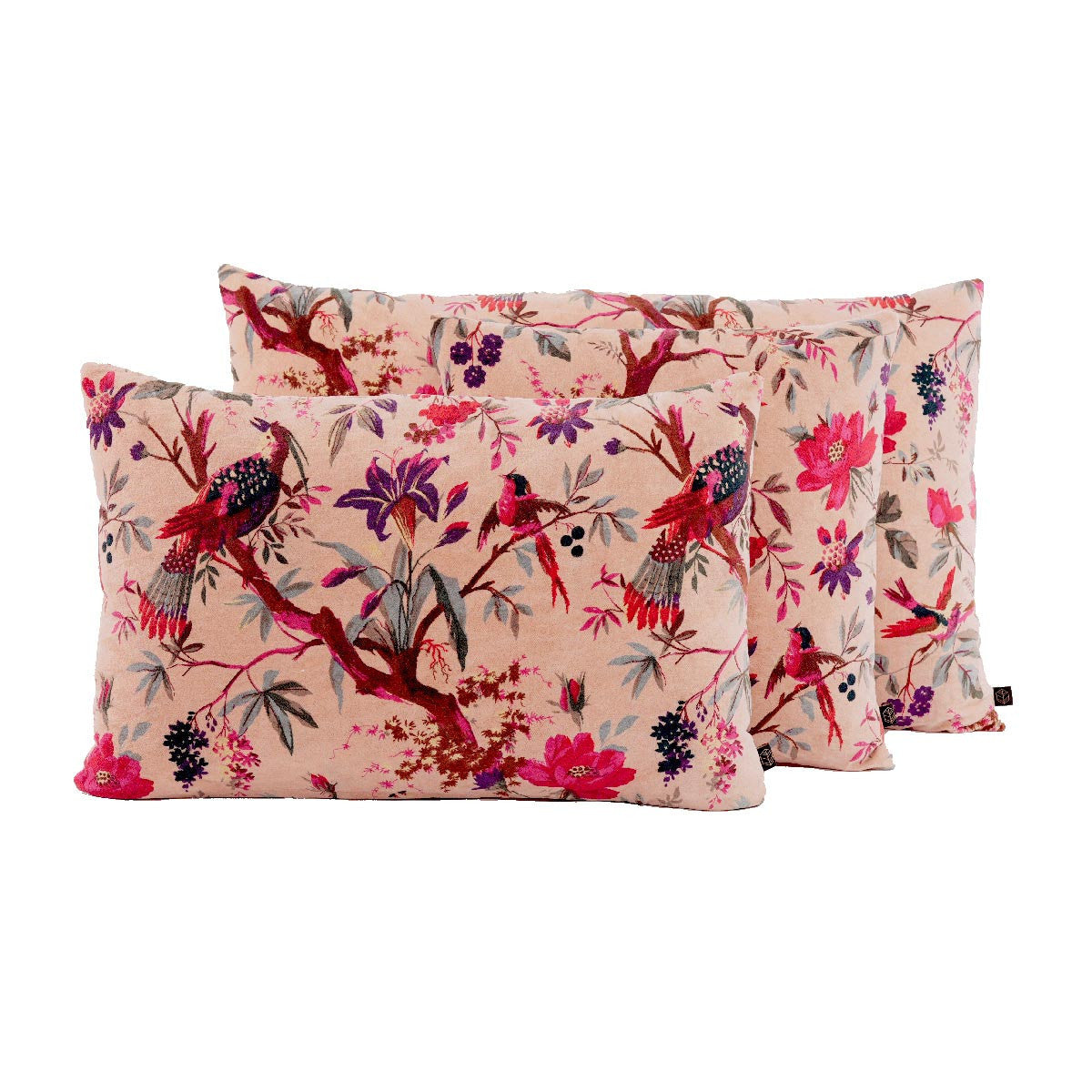 Coussin Birdy 40x60 cm  Cimarron